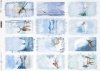 Vistas de invierno, animales, aves*Winteransichten, Tiere, Vögel*зимние виды, животные, птицы
